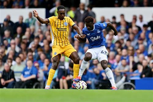 Everton vs Brighton